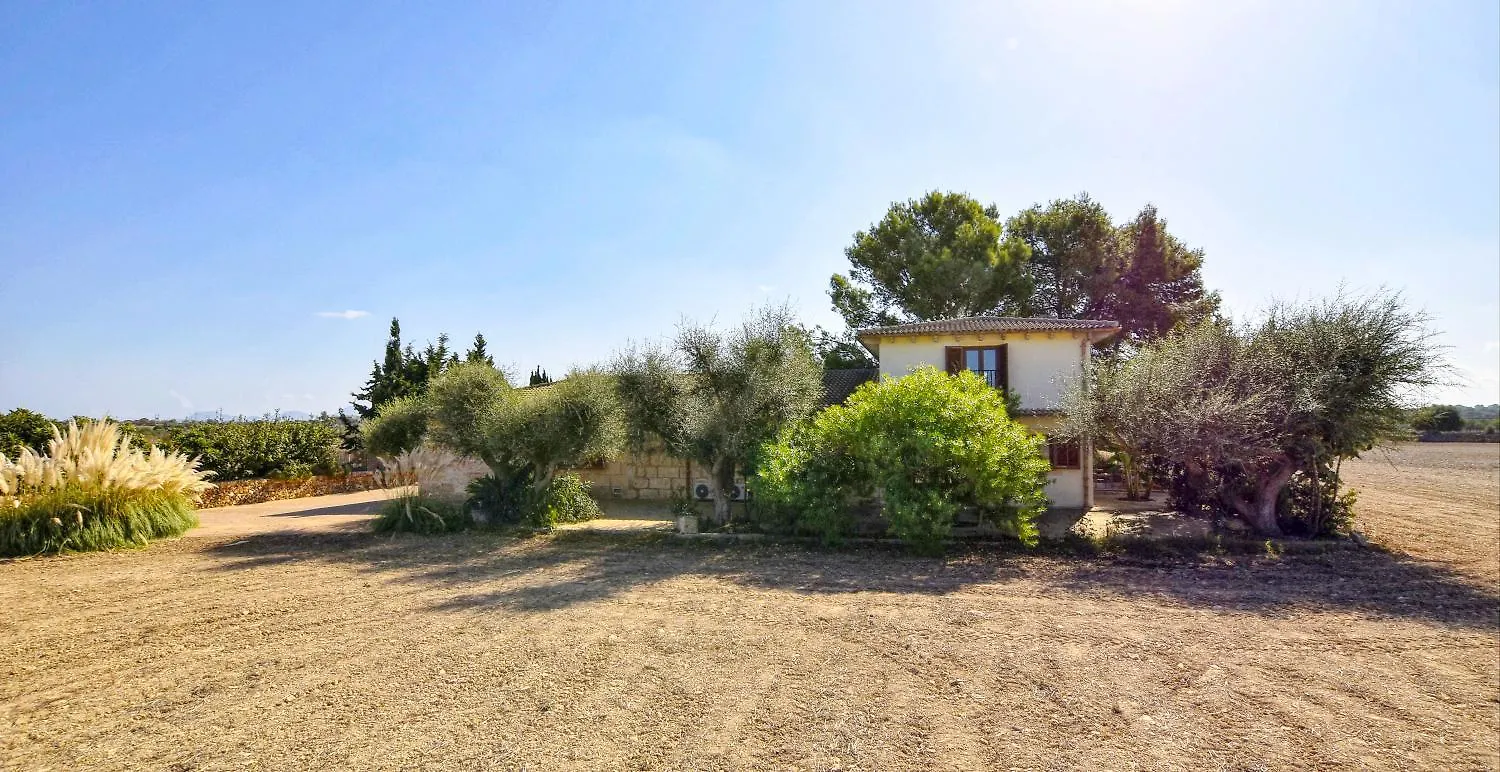 Ribas Villa Santa Margarita  Tatil Evi